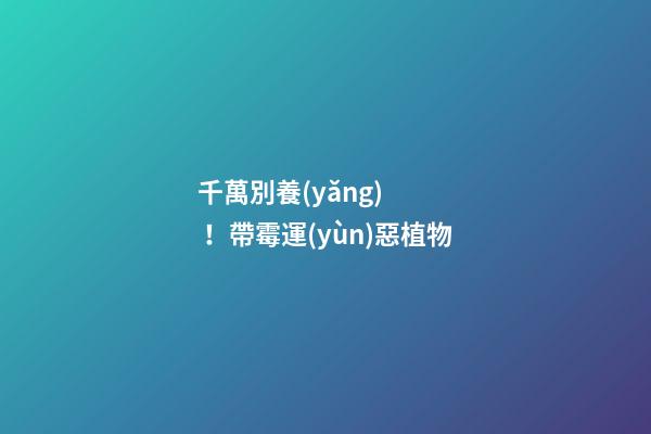 千萬別養(yǎng)！帶霉運(yùn)惡植物